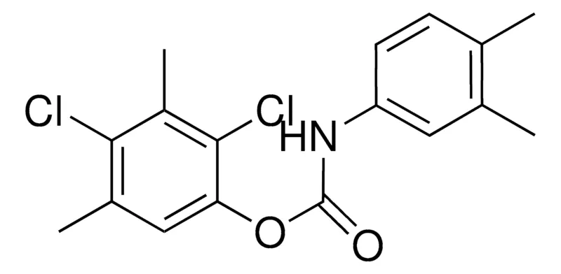 Sigma-Aldrich 2,4-DICHLORO-3,5-DIMETHYLPHENYL N-(3,4-XYLYL)CARBAMATE,AldrichCPR
