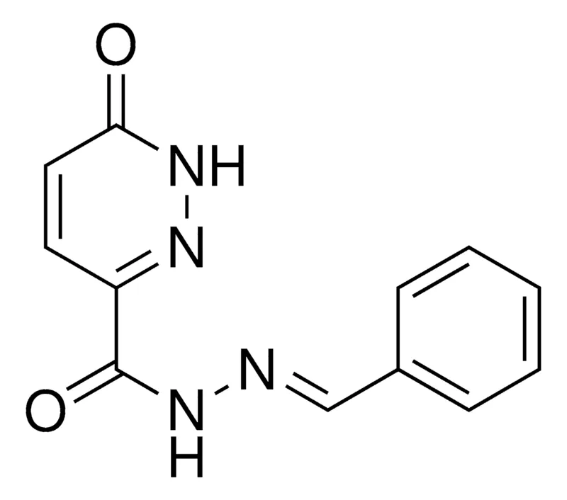 Sigma-Aldrich 6-OXO-1,6-DIHYDRO-PYRIDAZINE-3-CARBOXYLIC ACID BENZYLIDENE-HYDRAZIDE,AldrichCPR