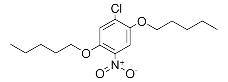 Sigma-Aldrich 1-CHLORO-2,5-DIPENTYLOXY-4-NITROBENZENE,AldrichCPR
