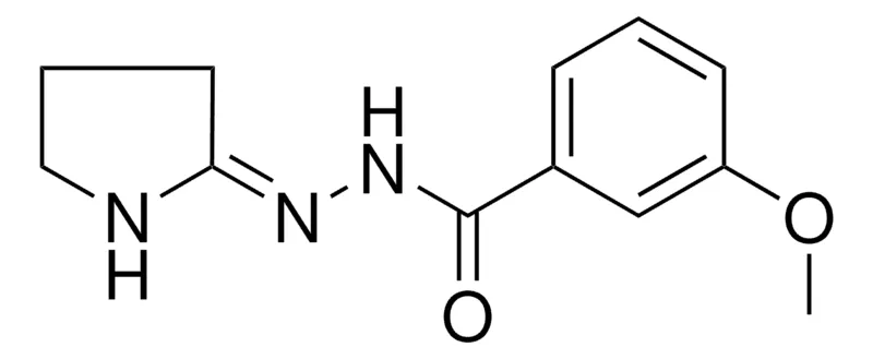 Sigma-Aldrich 3-METHOXY-N'-(2-PYRROLIDINYLIDENE)BENZOHYDRAZIDE,AldrichCPR