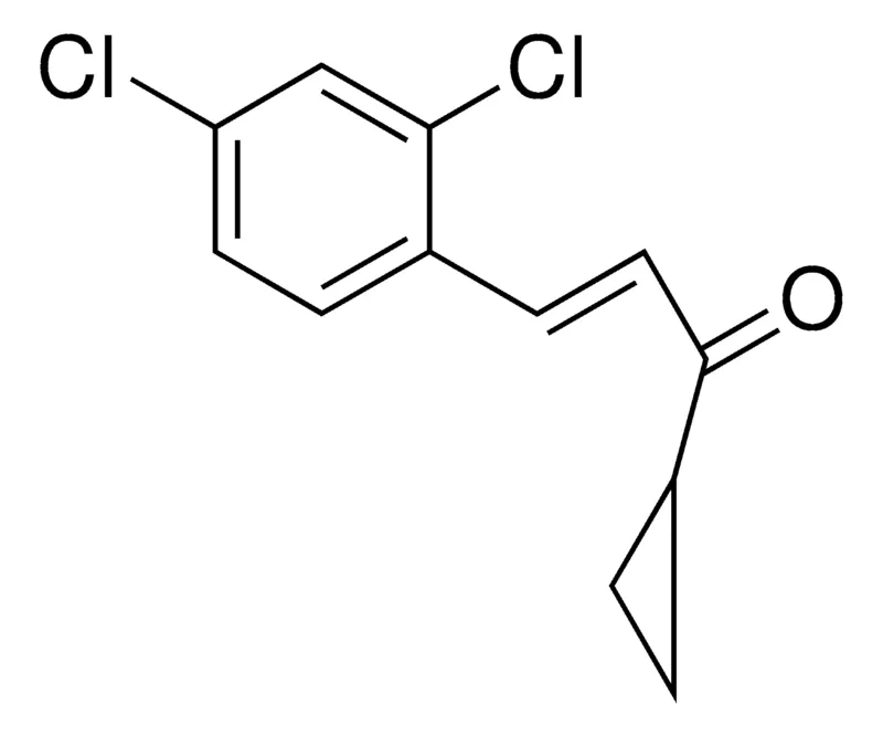 Sigma-Aldrich 3-(2,4-DICHLOROPHENYL)-1-CYCLOPROPYL-2-PROPEN-1-ONE,AldrichCPR