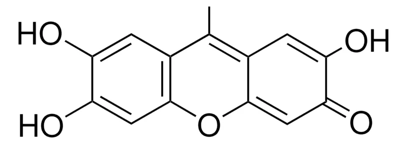 Sigma-Aldrich 9-METHYL-2,3,7-TRIHYDROXY-6-FLUORONE,AldrichCPR