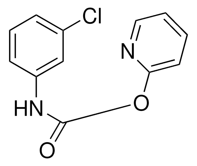 Sigma-Aldrich 2-PYRIDYL N-(3-CHLOROPHENYL)CARBAMATE,AldrichCPR