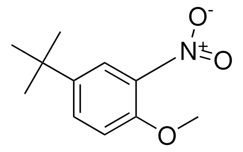 Sigma-Aldrich 4-TERT-BUTYL-2-NITROANISOLE,AldrichCPR
