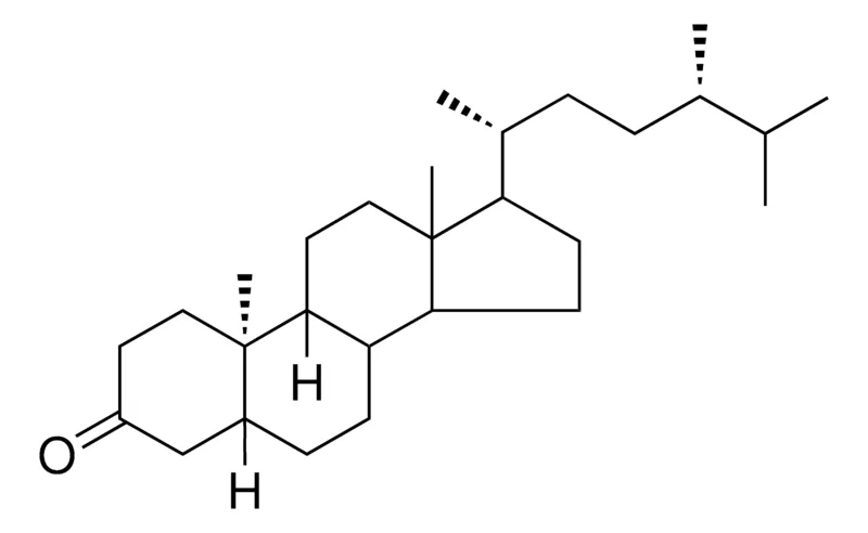 Sigma-Aldrich 5-BETA,9-BETA,10-ALPHA-ERGOSTAN-3-ONE,AldrichCPR