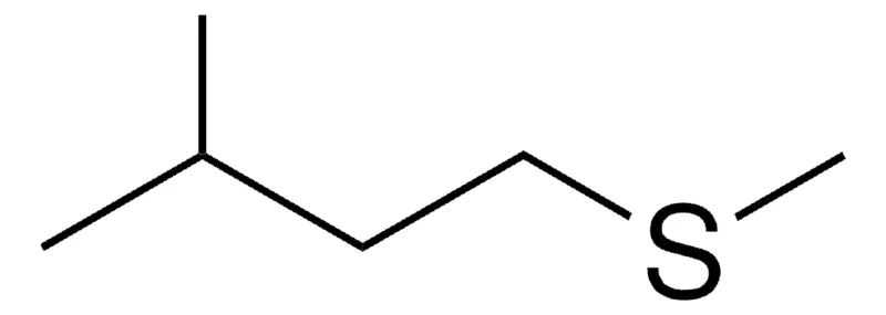 Sigma-Aldrich ISOAMYL METHYL SULFIDE,AldrichCPR