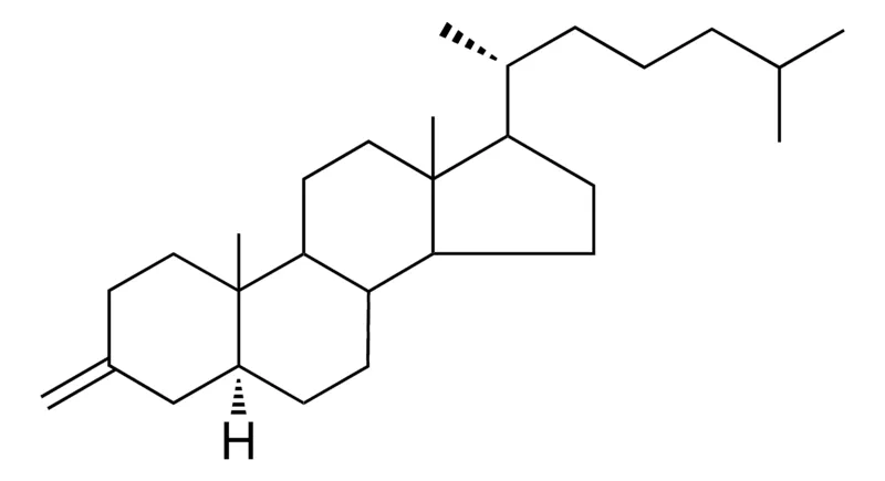 Sigma-Aldrich 3-METHYLENE-5-ALPHA-CHOLESTANE,AldrichCPR