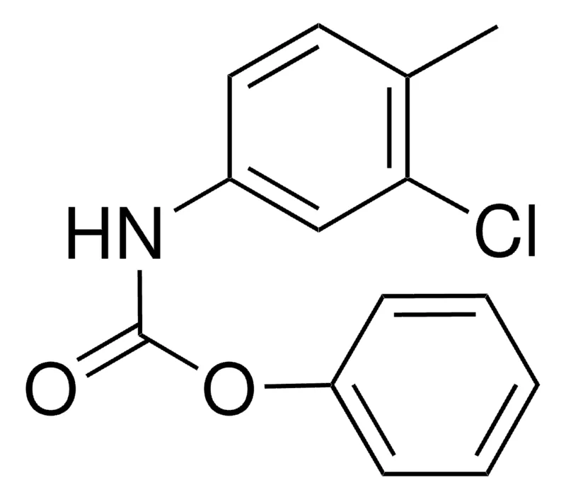 Sigma-Aldrich PHENYL N-(3-CHLORO-4-METHYLPHENYL)CARBAMATE,AldrichCPR