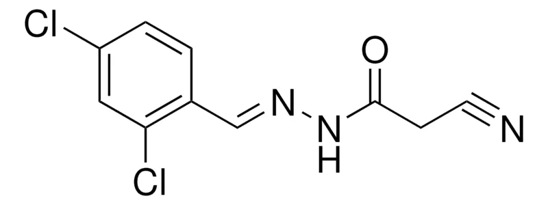 Sigma-Aldrich 2-CYANO-ACETIC ACID (2,4-DICHLORO-BENZYLIDENE)-HYDRAZIDE,AldrichCPR
