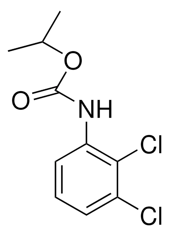 Sigma-Aldrich ISOPROPYL N-(2,3-DICHLOROPHENYL)CARBAMATE，AldrichCPR