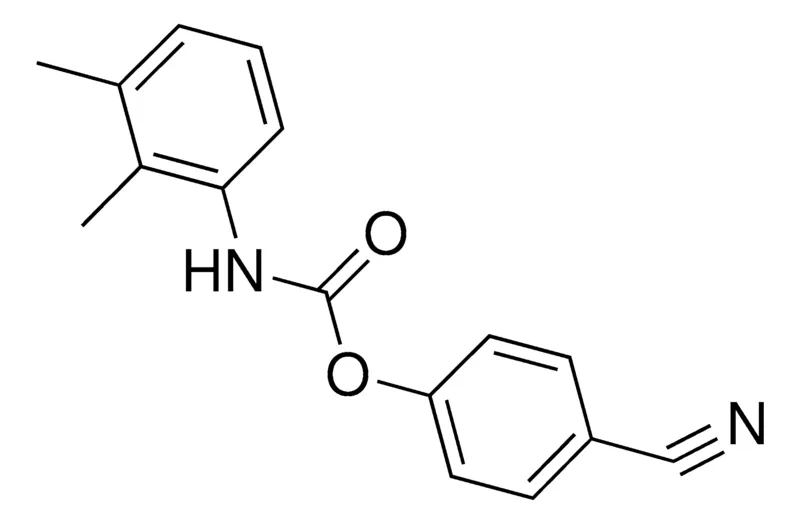 Sigma-Aldrich 4-CYANOPHENYL N-(2,3-XYLYL)CARBAMATE,AldrichCPR
