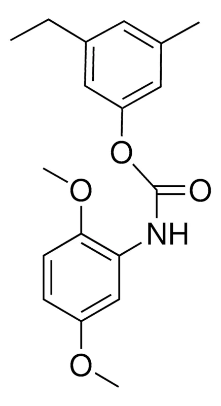 Sigma-Aldrich 3-ETHYL-5-METHYLPHENYL N-(2,5-DIMETHOXYPHENYL)CARBAMATE,AldrichCPR
