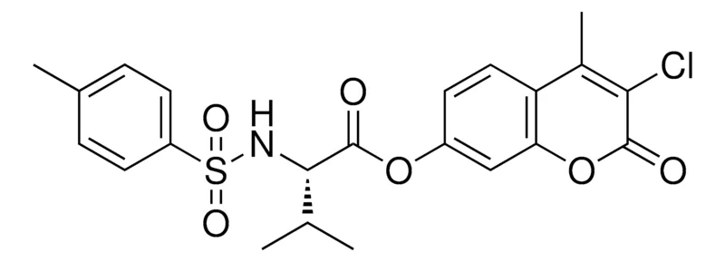 Sigma-Aldrich 3-ME-2-(TOLUENE-4-SULFONYLAMINO)BUTYRIC ACID 3-CL-4-ME-2-OXO-2H-CHROMEN7YL ESTER,AldrichCPR