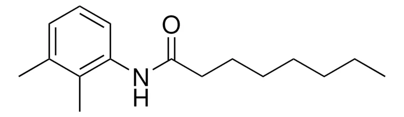 Sigma-Aldrich 2',3'-OCTANOXYLIDIDE，AldrichCPR