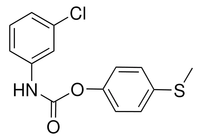 Sigma-Aldrich 4-(METHYLTHIO)PHENYL N-(3-CHLOROPHENYL)CARBAMATE,AldrichCPR