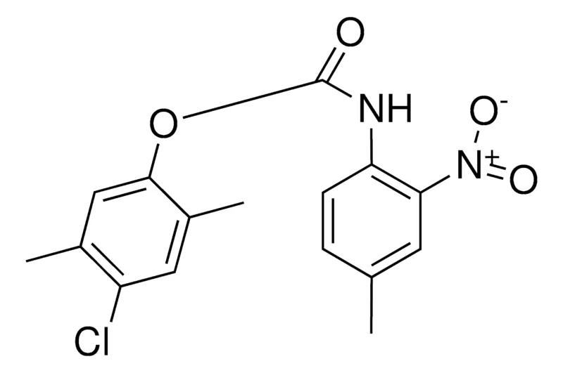 Sigma-Aldrich 4-CHLORO-2,5-DIMETHYLPHENYL N-(4-METHYL-2-NITROPHENYL)CARBAMATE,AldrichCPR