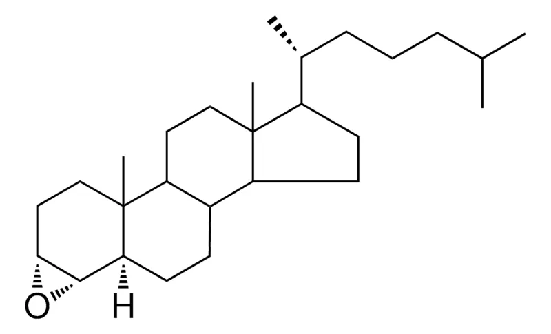 Sigma-Aldrich 3-ALPHA,4-ALPHA-EPOXY-5-ALPHA-CHOLESTANE,AldrichCPR