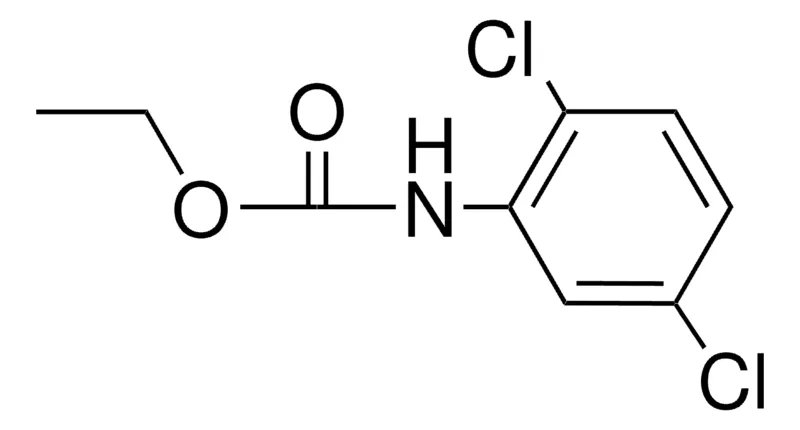 Sigma-Aldrich ETHYL N-(2,5-DICHLOROPHENYL)CARBAMATE,AldrichCPR