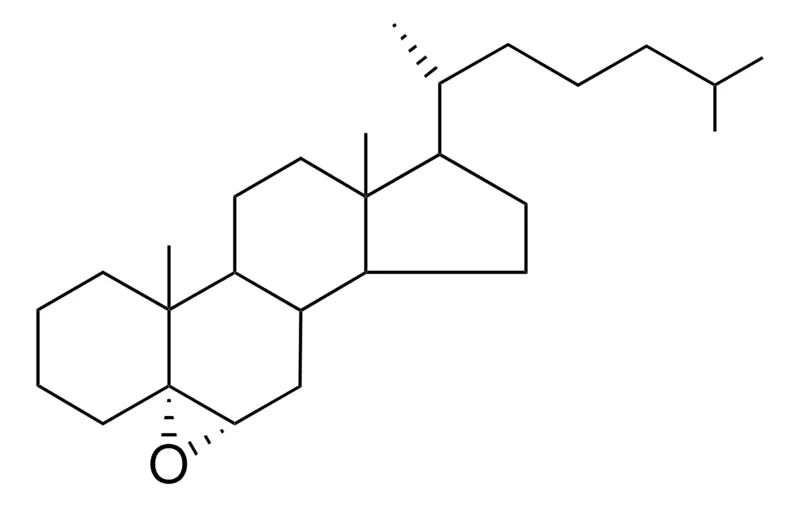 Sigma-Aldrich 5,6-ALPHA-EPOXY-5-ALPHA-CHOLESTANE,AldrichCPR
