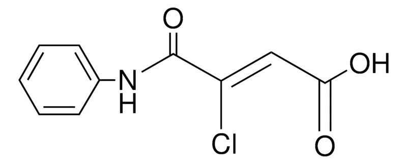 Sigma-Aldrich 3-CHLORO-3-PHENYLCARBAMOYL-ACRYLIC ACID,AldrichCPR
