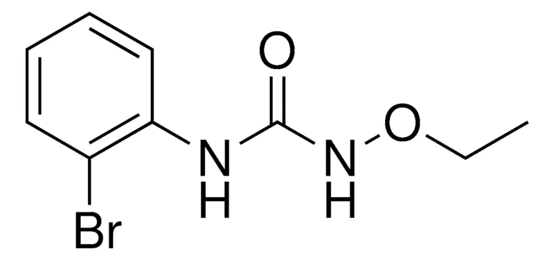 Sigma-Aldrich N-(2-BROMOPHENYL)-N'-ETHOXYUREA,AldrichCPR