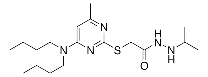 Sigma-Aldrich 2-(4-DI-BU-AMINO-6-ME-PYRIMIDIN-2-YLSULFANYL)-ACETIC ACID N'-ISOPROPYL-HYDRAZIDE,AldrichCPR