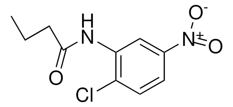 Sigma-Aldrich 2'-CHLORO-5'-NITROBUTYRANILIDE，AldrichCPR