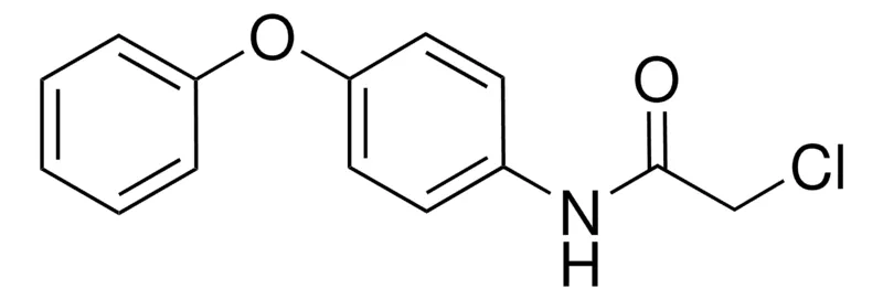 Sigma-Aldrich 2-CHLORO-N-(4-PHENOXYPHENYL)ACETAMIDE,AldrichCPR