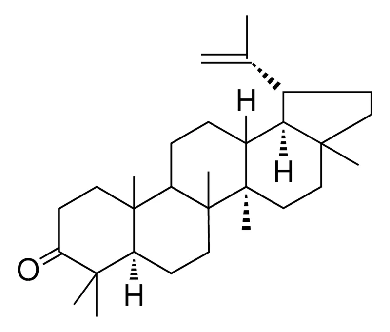 Sigma-Aldrich LUP-20(29)-EN-3-ONE,AldrichCPR