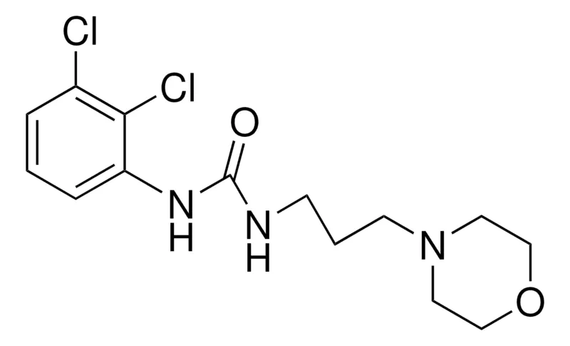 Sigma-Aldrich 1-(2,3-DICHLOROPHENYL)-3-(3-MORPHOLINOPROPYL)UREA,AldrichCPR