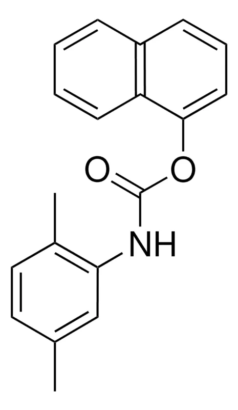 Sigma-Aldrich 1-NAPHTHYL N-(2,5-DIMETHYLPHENYL)CARBAMATE,AldrichCPR