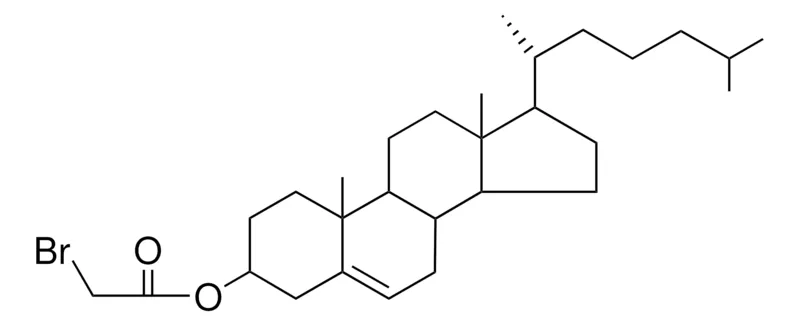 Sigma-Aldrich CHOLEST-5-EN-3-BETA-YL BROMOACETATE,AldrichCPR