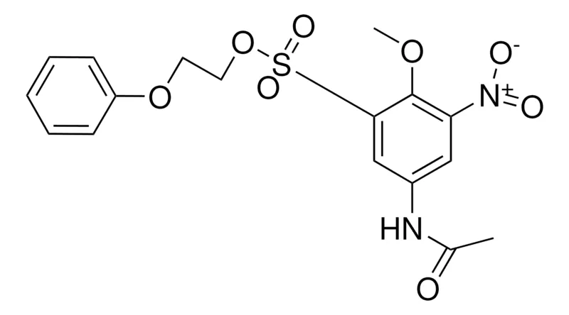 Sigma-Aldrich 2-PHENOXYETHYL 5-ACETAMIDO-2-METHOXY-3-NITROBENZENESULFONATE,AldrichCPR