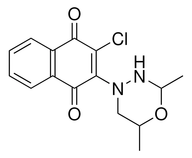 Sigma-Aldrich 2-CHLORO-3-(2,6-DIMETHYL-3,4,5,6-TETRAHYDRO-2H-134OXADIAZIN4YL)14NAPHTHOQUINONE,AldrichCPR