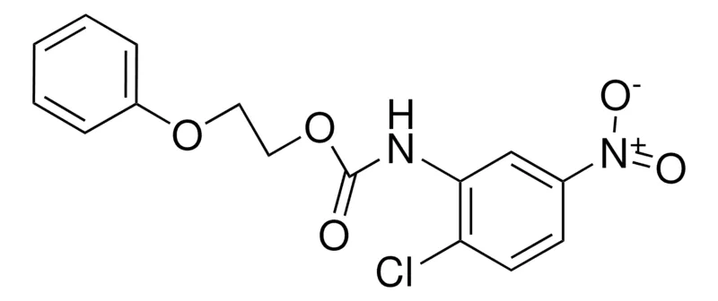 Sigma-Aldrich 2-PHENOXYETHYL N-(2-CHLORO-5-NITROPHENYL)CARBAMATE,AldrichCPR