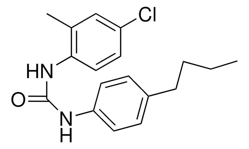 Sigma-Aldrich 1-(4-BUTYLPHENYL)-3-(4-CHLORO-2-METHYLPHENYL)UREA，AldrichCPR