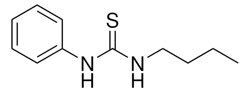 Sigma-Aldrich 1-BUTYL-3-PHENYL-2-THIOUREA,AldrichCPR