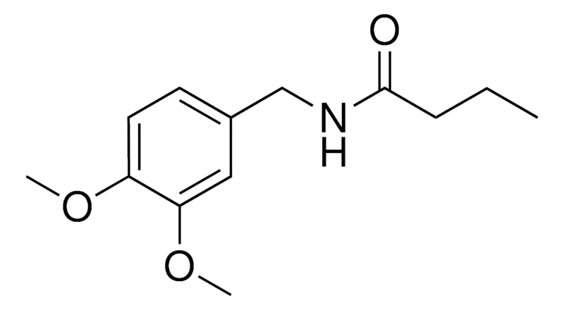 Sigma-Aldrich N-(3,4-DIMETHOXY-BENZYL)-BUTYRAMIDE,AldrichCPR