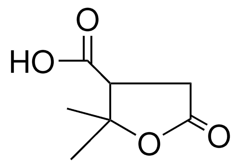 Sigma-Aldrich TEREBIC ACID(TETRAHYDRO-2,2-DIMETHYL-5-OXO-3-FURANCARBOXYLIC ACID),AldrichCPR