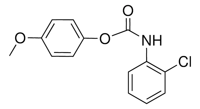 Sigma-Aldrich 4-METHOXYPHENYL N-(2-CHLOROPHENYL)CARBAMATE,AldrichCPR