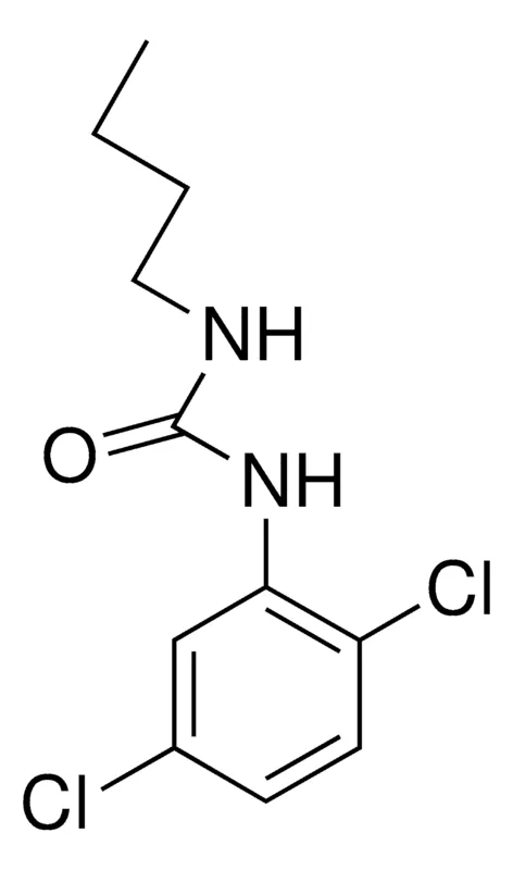 Sigma-Aldrich 1-BUTYL-3-(2,5-DICHLOROPHENYL)UREA,AldrichCPR