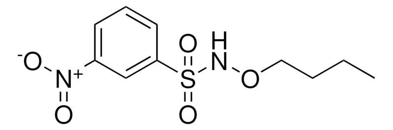 Sigma-Aldrich N-BUTOXY-3-NITRO-BENZENESULFONAMIDE,AldrichCPR
