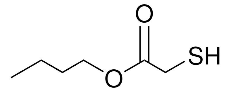 Sigma-Aldrich BUTYL THIOGLYCOLATE,AldrichCPR