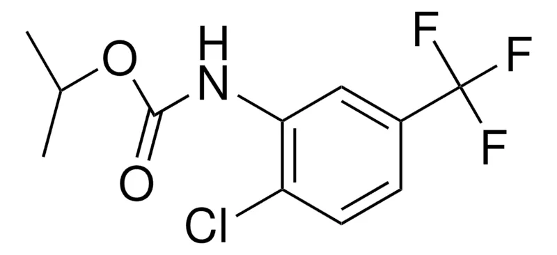 Sigma-Aldrich ISOPROPYL N-(2-CHLORO-5-TRIFLUOROMETHYLPHENYL)CARBAMATE,AldrichCPR