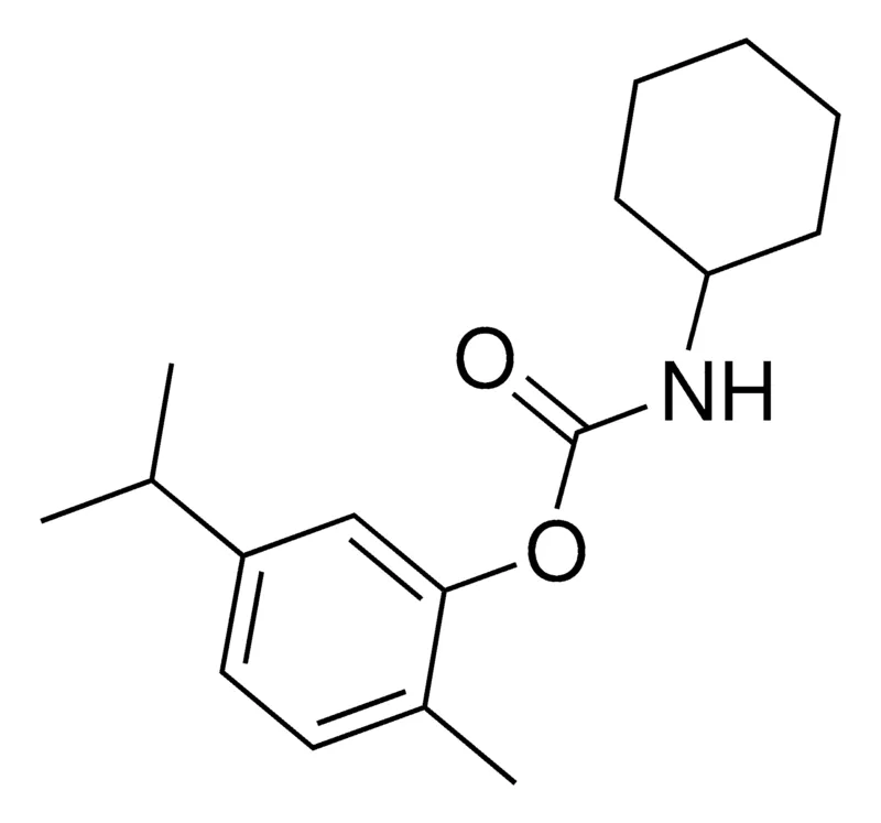 Sigma-Aldrich 5-ISOPROPYL-2-METHYLPHENYL N-CYCLOHEXYLCARBAMATE，AldrichCPR
