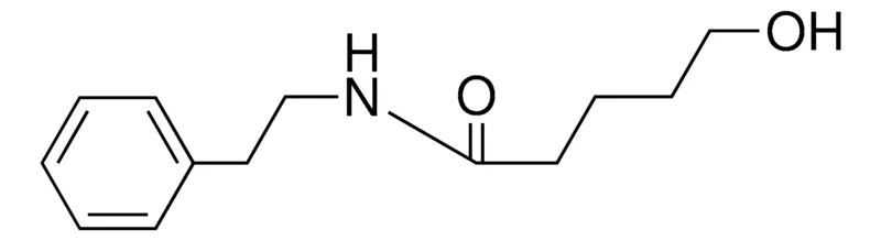 Sigma-Aldrich 5-HYDROXY-PENTANOIC ACID PHENETHYL-AMIDE,AldrichCPR
