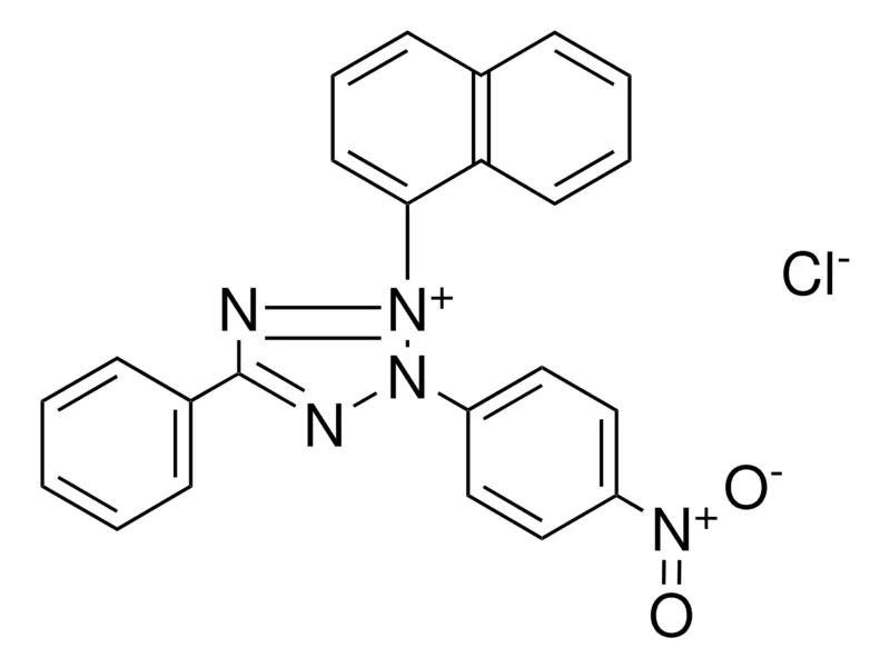 Sigma-Aldrich 2-NAPHTHALEN-1-YL-3-(4-NITRO-PHENYL)-5-PHENYL-3H-TETRAZOL-2-IUM, CHLORIDE,AldrichCPR