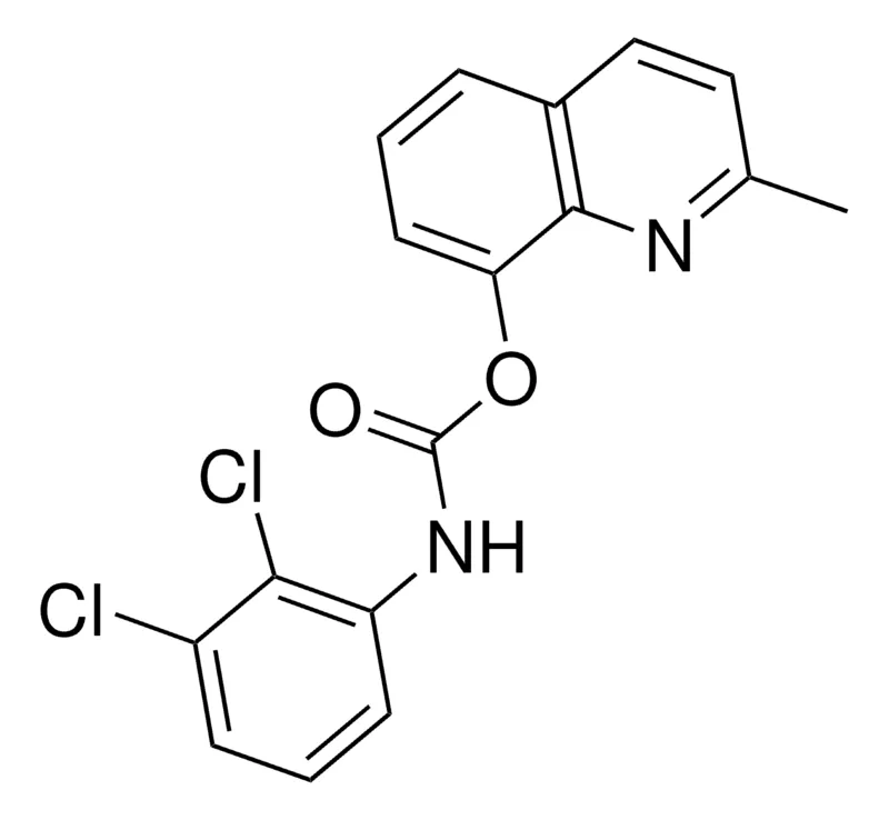 Sigma-Aldrich 2-METHYL-8-QUINOLYL N-(2,3-DICHLOROPHENYL)CARBAMATE,AldrichCPR