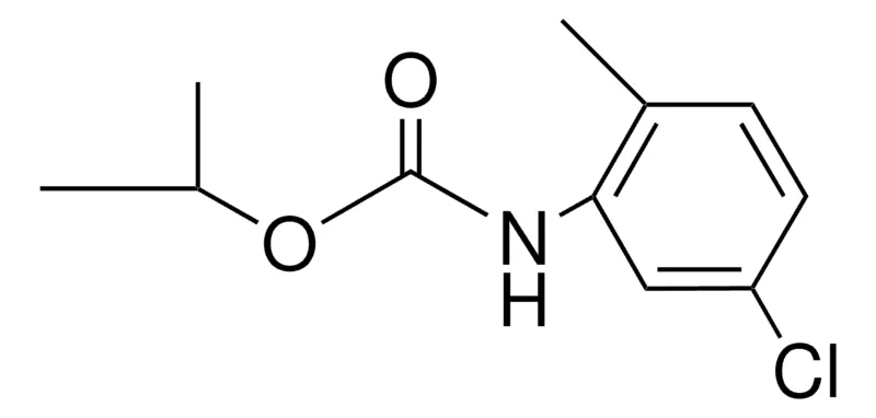 Sigma-Aldrich ISOPROPYL N-(5-CHLORO-2-METHYLPHENYL)CARBAMATE,AldrichCPR