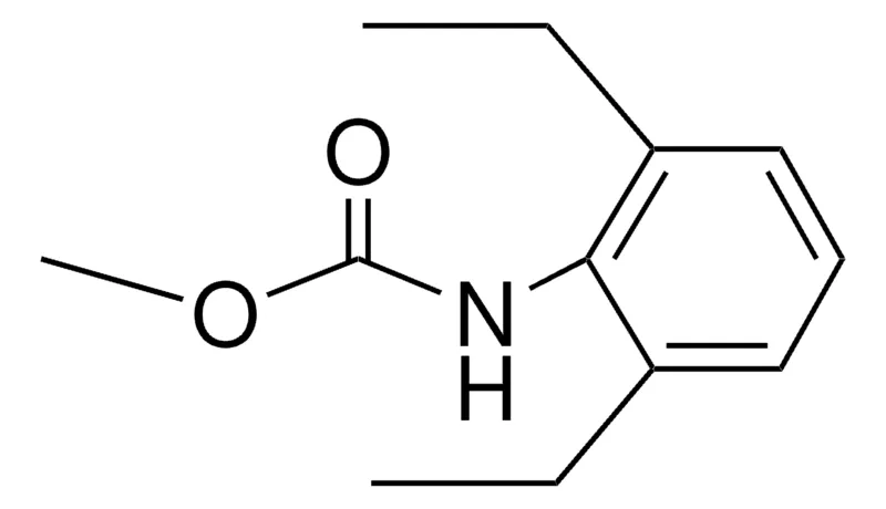 Sigma-Aldrich METHYL N-(2,6-DIETHYLPHENYL)CARBAMATE,AldrichCPR